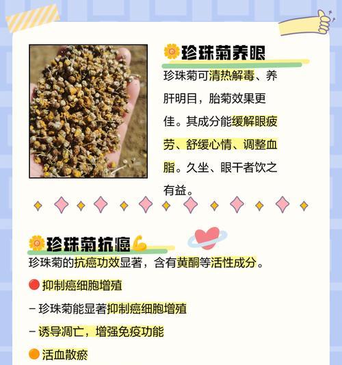 珍珠菊花怎么修剪枝条