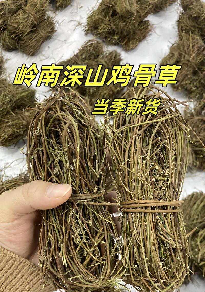 鸡草种子种植全攻略：方法与技巧