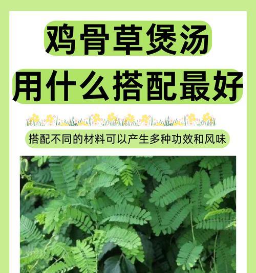 鸡草种子种植全攻略：方法与技巧
