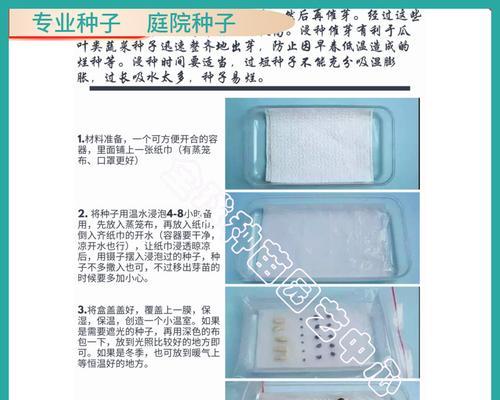 天门冬种子怎么催芽：一份全面的种植指南