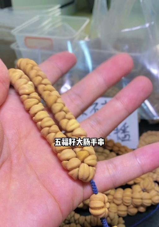 五福籽的种植方法全解析
