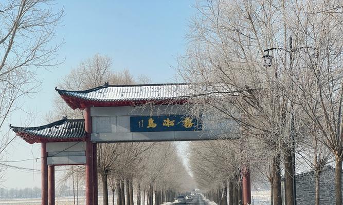 雾凇修剪枝条的正确方法与技巧