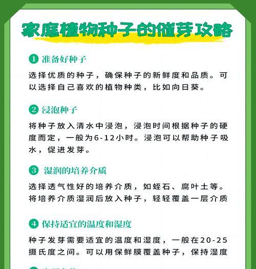 加热垫催芽育苗怎么放种子