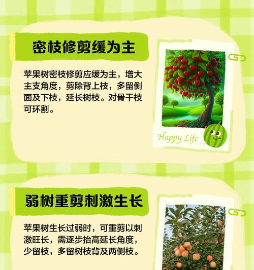 苹果修剪枝锯子怎么用