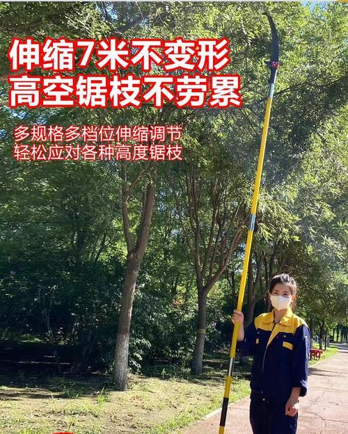 苹果修剪枝锯子怎么用