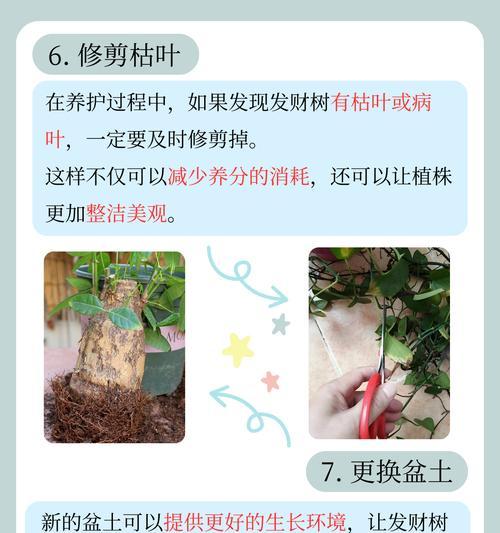 赤霉酸怎么给树干催芽