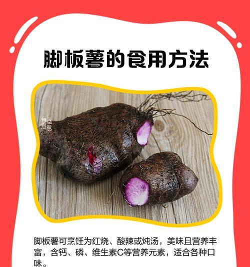 毛薯子的种植方法与技巧