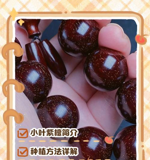 小叶紫檀怎么种植？全面指南助你培育珍稀植物