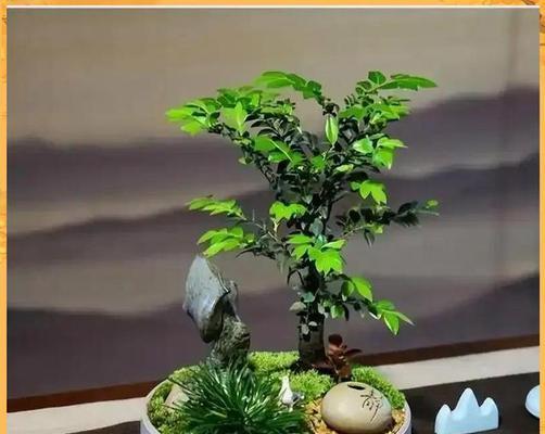 小叶紫檀怎么种植？全面指南助你培育珍稀植物