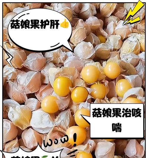 菇娘籽怎么种植：全面指南及步骤详解