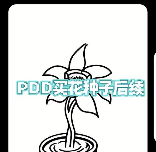 茉莉种子怎么种植方法