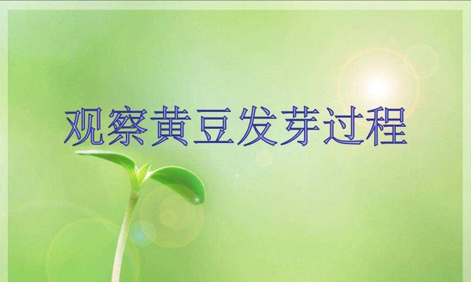 黄豆催芽方法大全：专业指导从原理到实践