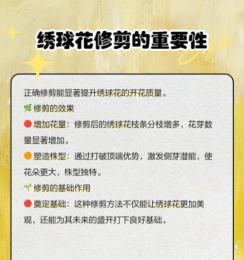 绣球入夏怎么修剪枝条
