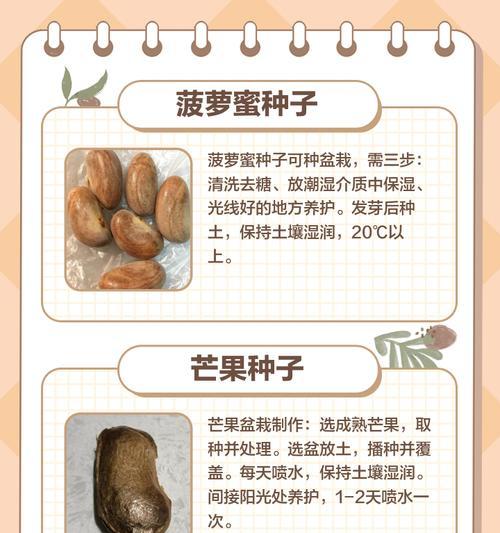 水果种子催芽以后怎么种植