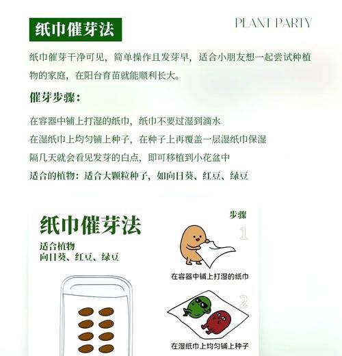 水果种子催芽以后怎么种植