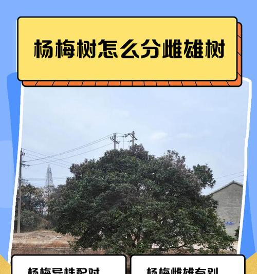 【文章标题】