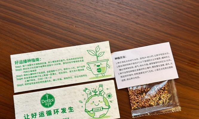 玫瑰种子催芽的科学方法