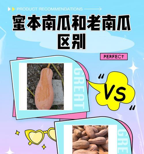 蜜本南瓜种怎么催芽——催芽方法与技巧全攻略