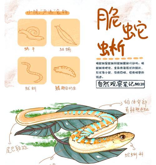 蜥蜴怎么修剪枝条：全面指南与操作步骤
