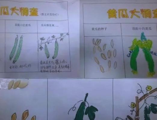 用黄瓜种子怎么种植方法