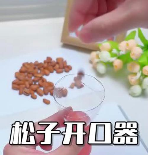 松子怎么催芽：全面指南助您轻松培育松子幼苗