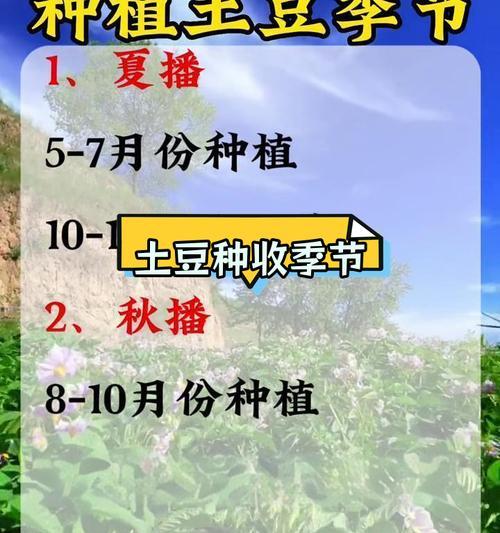 土豆怎么种植方法如下