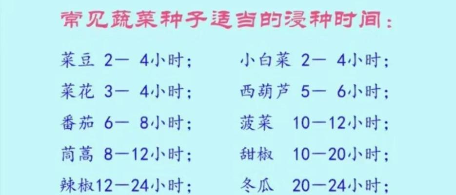 辣椒苗催芽怎么弄