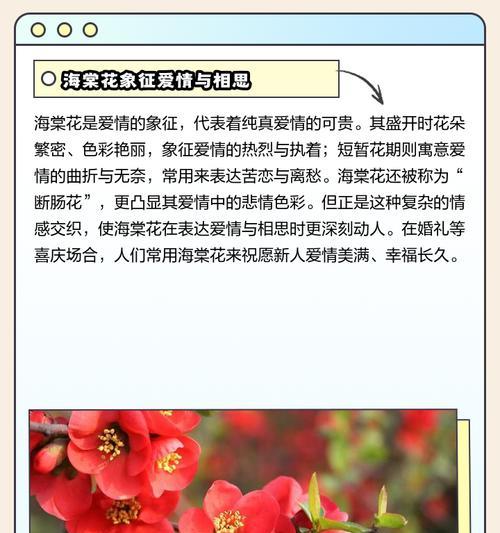 桂花嫁接的科学实践：选择合适的根砧、方法与注意事项