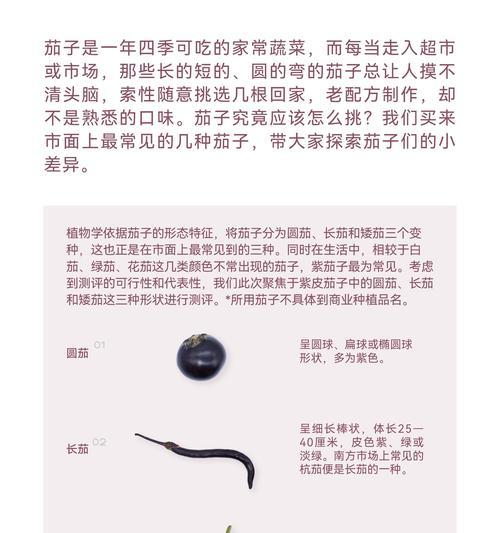 怎么种茄子催芽方法
