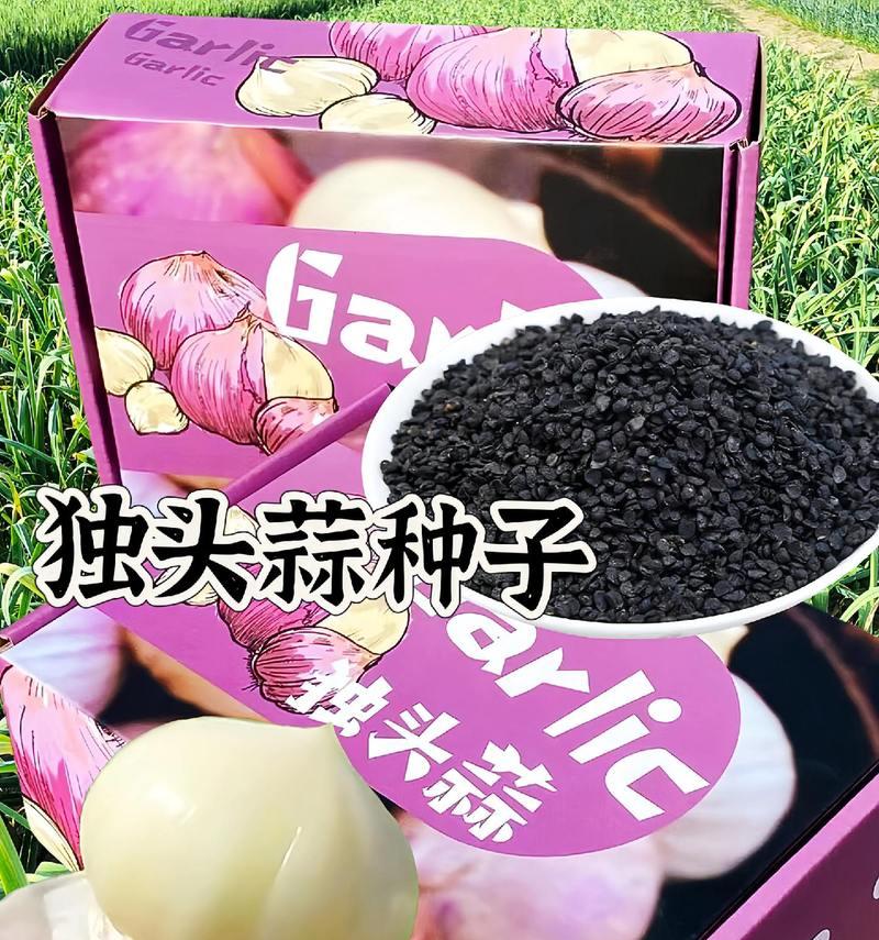 独蒜种子籽怎么种植方法