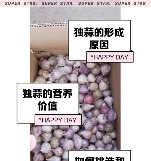 独蒜种子籽怎么种植方法