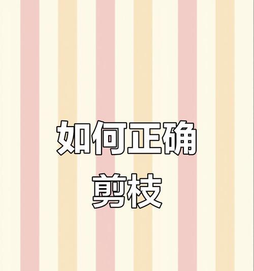 修果树怎么修剪枝条