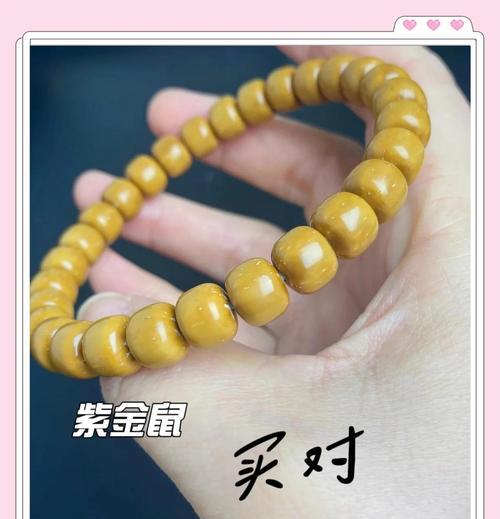 紫金鼠怎么催芽最好