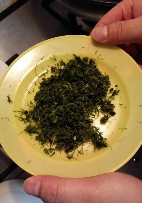 海苔修剪枝条指南：专业步骤与技巧