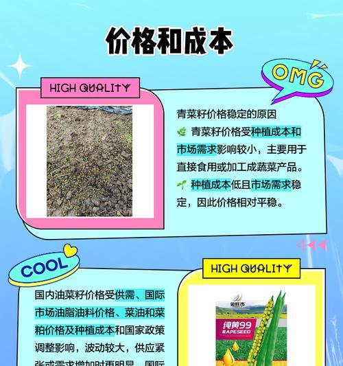 油菜籽阳台怎么种植方法
