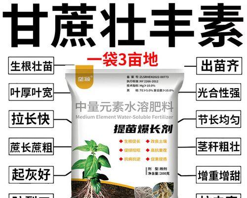 甘蔗催芽快一步：掌握这些实用技巧