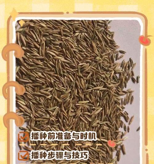 牡丹籽怎么催芽：温度要求篇