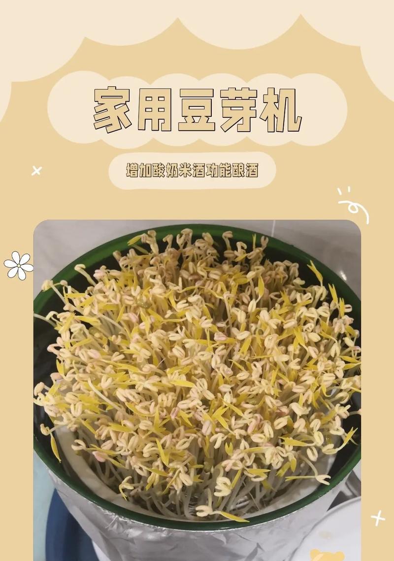 豆芽怎么挖空种植的方法