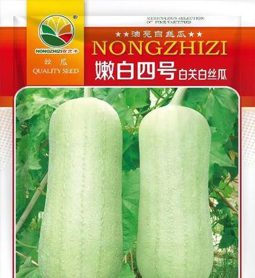 白丝瓜种植指南：全流程种植方法与技巧