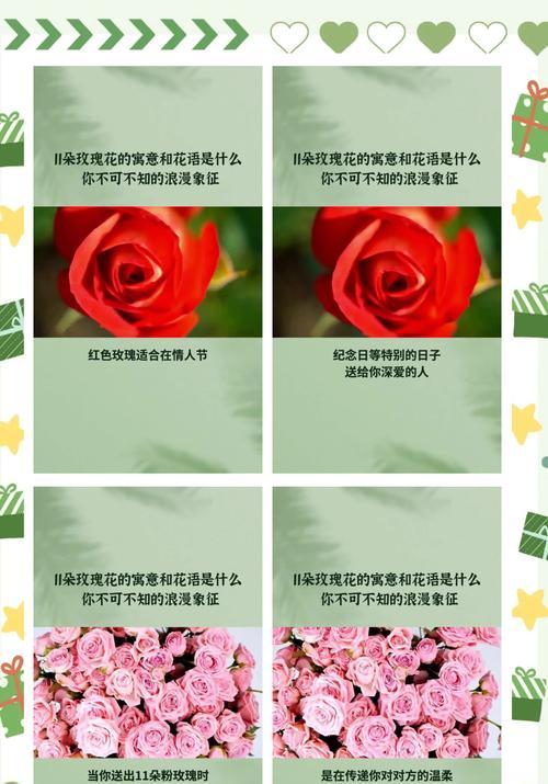 山地玫瑰怎么浇水？山地玫瑰的浇水技巧和注意事项