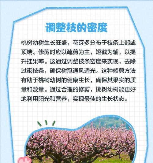 桃树怎么发芽修剪枝条