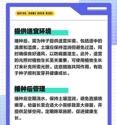 散装种子怎么催芽的详细指南