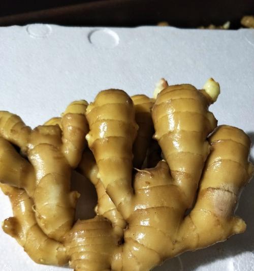 姜种在家怎么催芽——从初学者到专家的详细指南