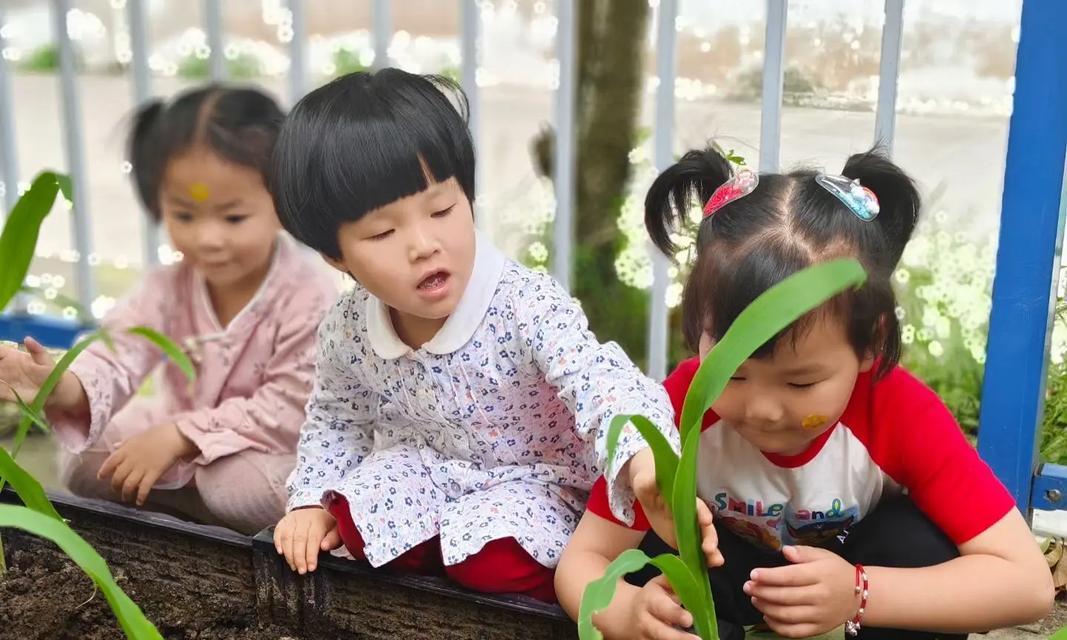玉米怎么催芽的快