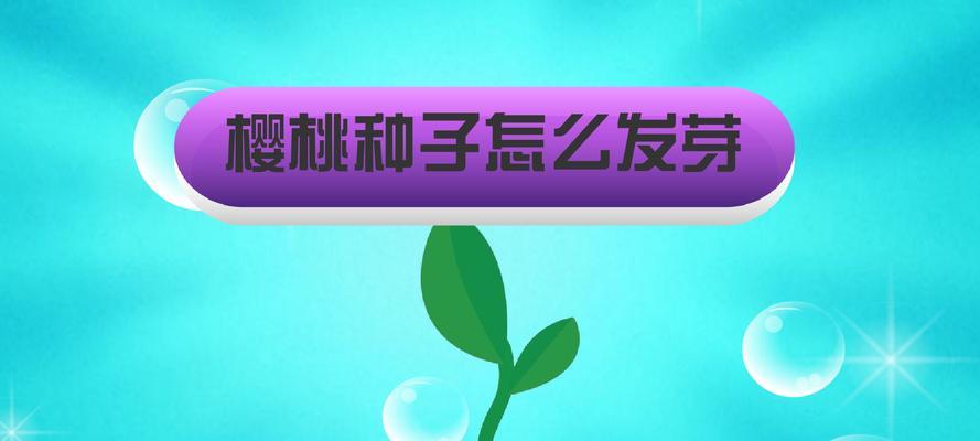 樱桃子催芽烂了怎么办：问题诊断与解决方案