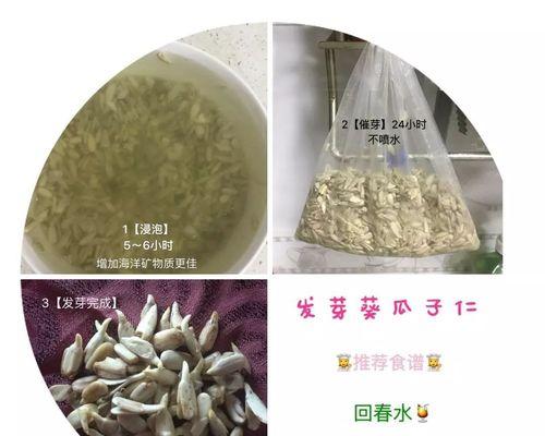 瓜子催芽全攻略：让你的种子焕发新生