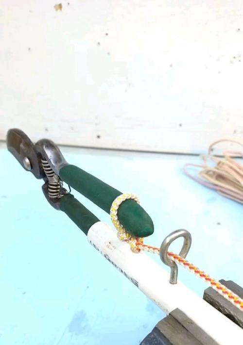 如何正确修剪枯黄枝条以促进植物健康