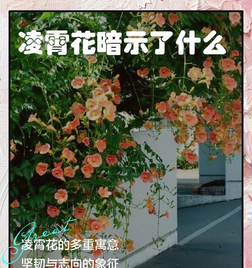 猴头杜鹃的修剪枝条全攻略