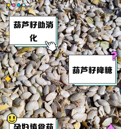 葫芦籽儿怎么样催芽快