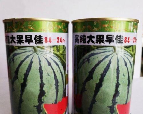 籽瓜种子怎么种植：全面种植方法指南